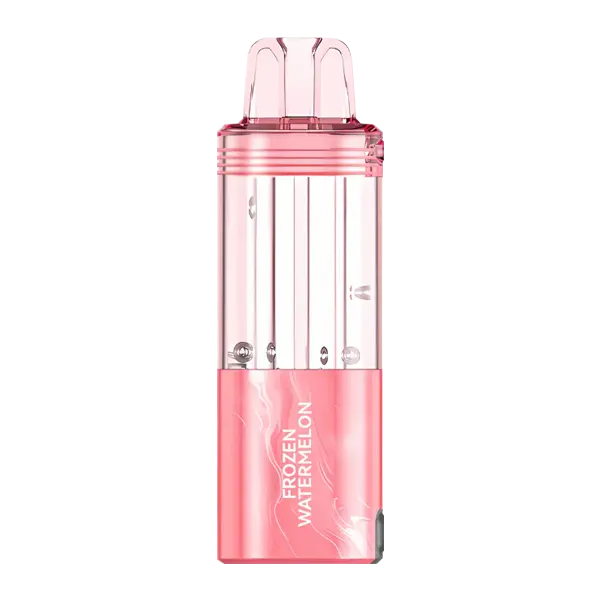 BUY 1 GET 1 FREE Frozen Watermelon FOGER Switch Pro Disposable | Vape Amazon India