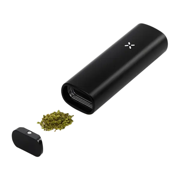 BUY 1 GET 1 FREE PAX Mini | Vape Amazon India Pax