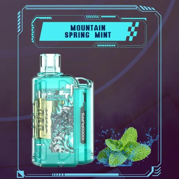 IGET FLARE B10000 – Mountain Spring Mint - Vape Shop Noida