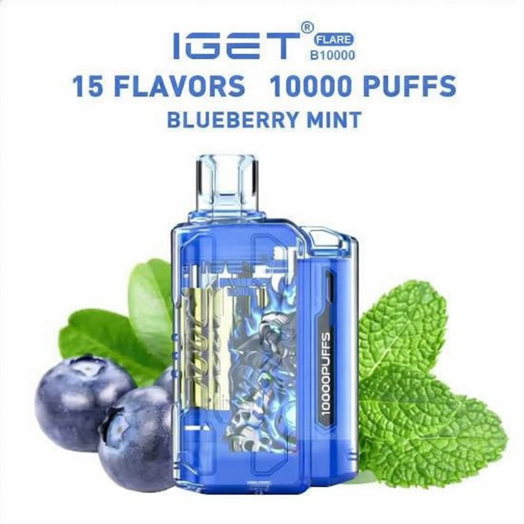 IGET FLARE B10000 – 10000 Puffs Disposable Vape