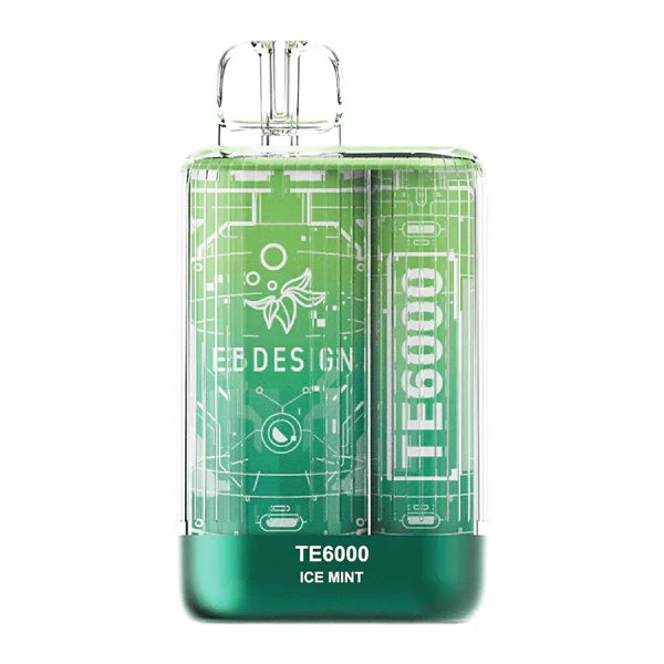 Elfbar TE 6000 Puffs | 50mg Nic Disposable | Type C Rechargeable