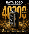 Elf Bar Raya SOBO Disposable Vape – 40000 Puffs | Vape Mash India