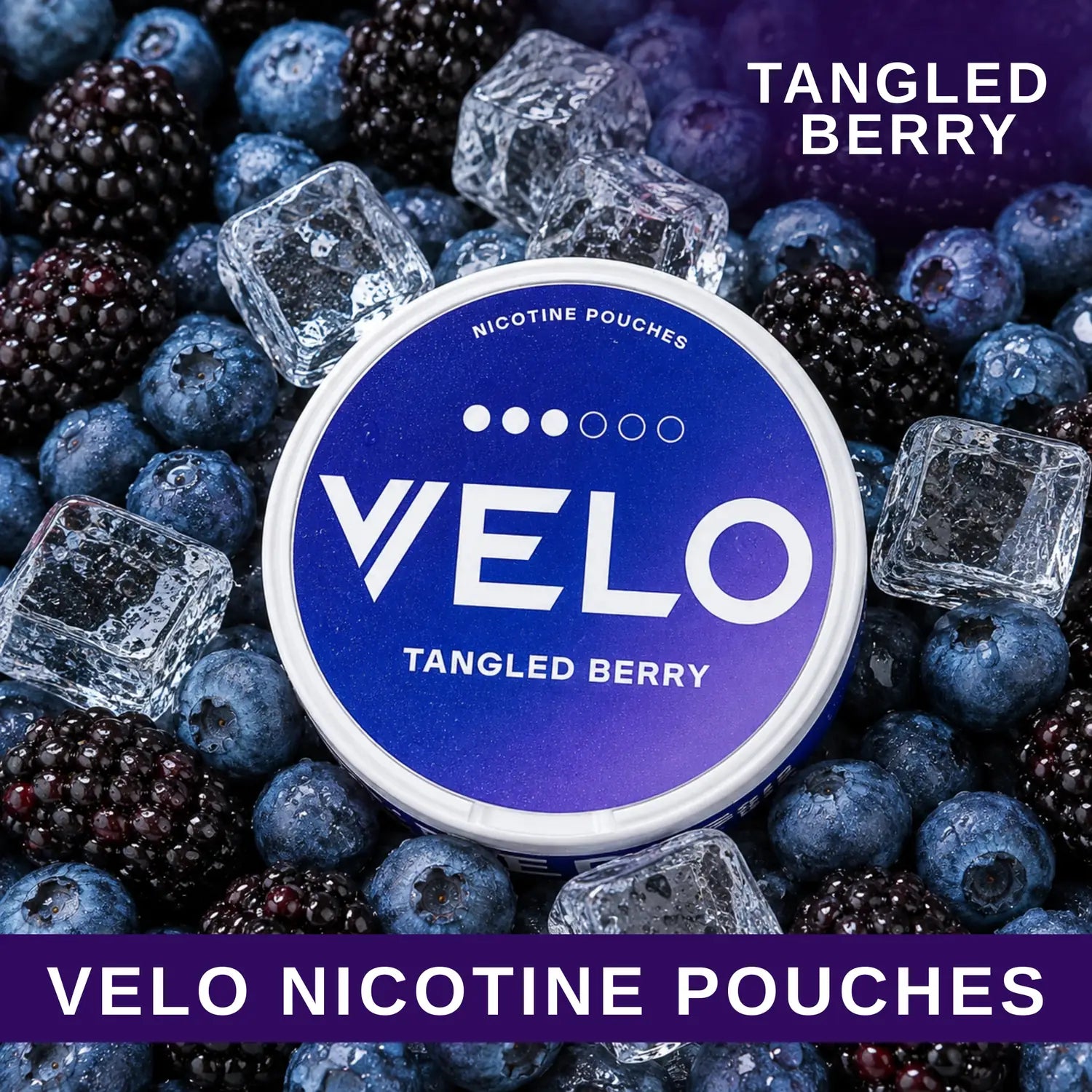 VELO Nicotine Pouches (20U) nicotine pouches - Tangled Berry flavour